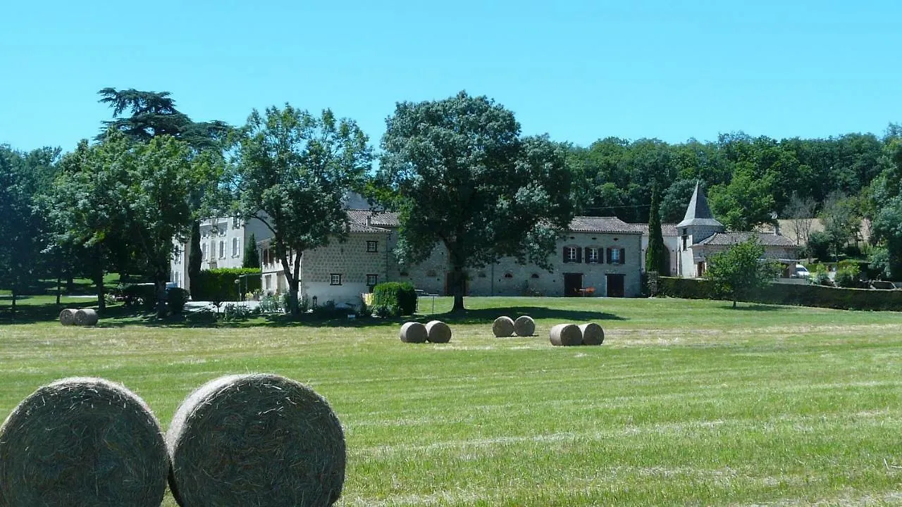 Chateau De La Bousquetarie Lempaut 0*,